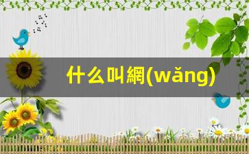 什么叫網(wǎng)絡(luò )運營(yíng)插圖